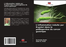 L'inflammation induite par H.pylori dans la pathogenèse du cancer gastrique