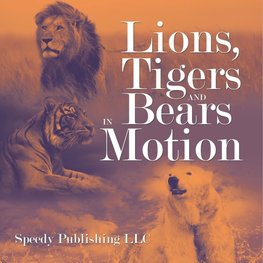 Lions, Tigers And Bears In Motion