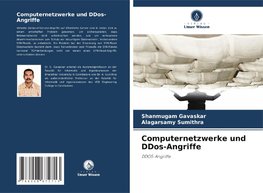 Computernetzwerke und DDos-Angriffe