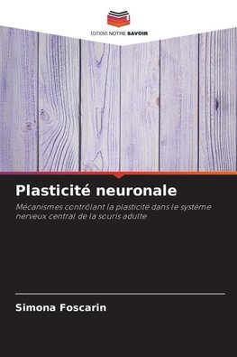 Plasticité neuronale
