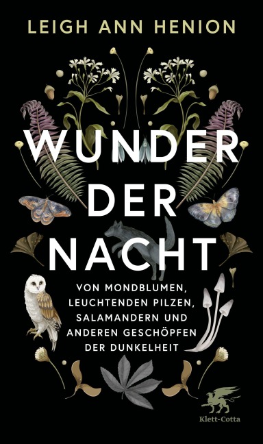 Wunder der Nacht